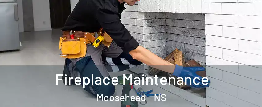  Fireplace Maintenance Moosehead - NS