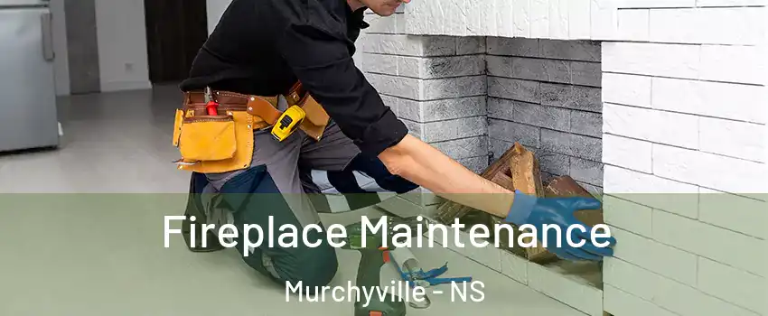  Fireplace Maintenance Murchyville - NS