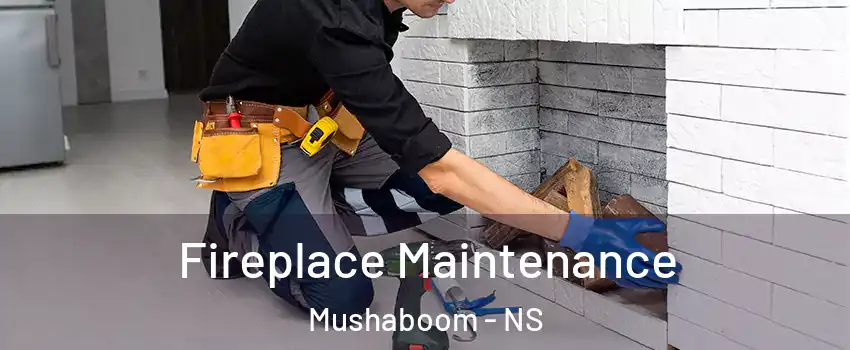  Fireplace Maintenance Mushaboom - NS