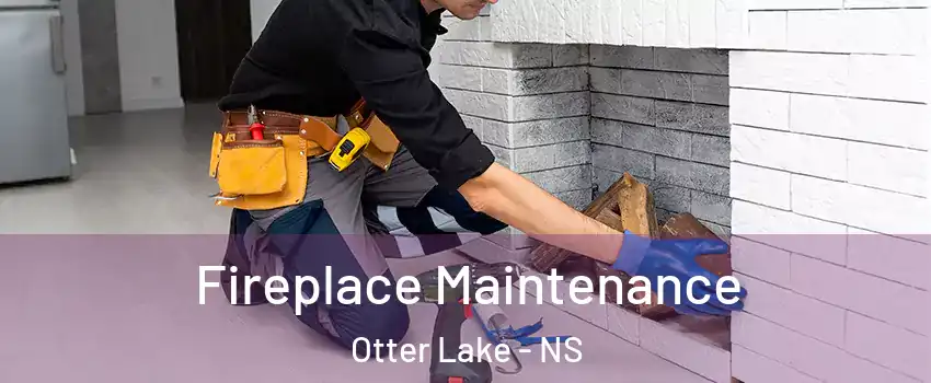  Fireplace Maintenance Otter Lake - NS