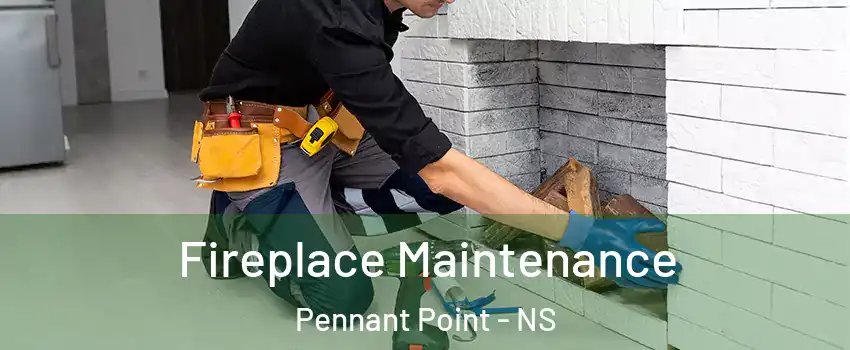  Fireplace Maintenance Pennant Point - NS