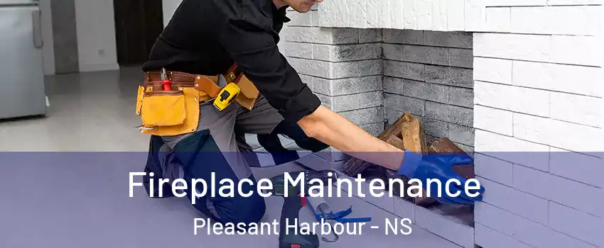  Fireplace Maintenance Pleasant Harbour - NS