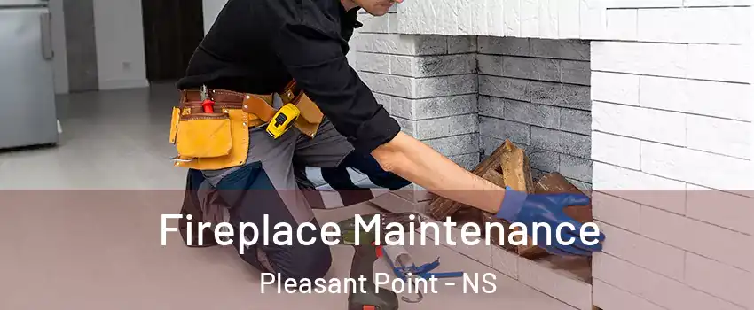  Fireplace Maintenance Pleasant Point - NS