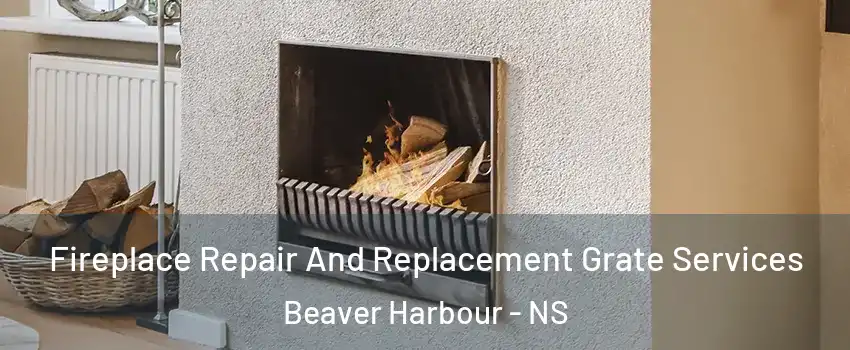  Fireplace Repair And Replacement Grate Services Beaver Harbour - NS