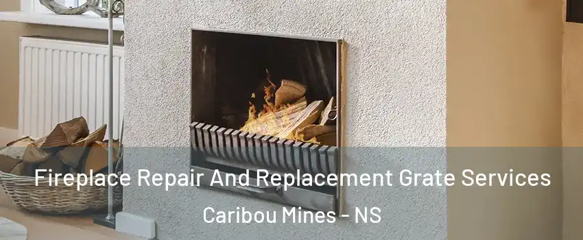  Fireplace Repair And Replacement Grate Services Caribou Mines - NS