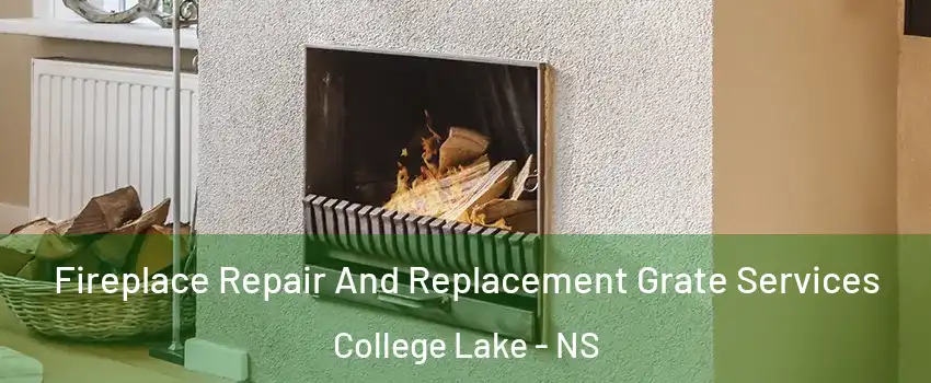  Fireplace Repair And Replacement Grate Services College Lake - NS