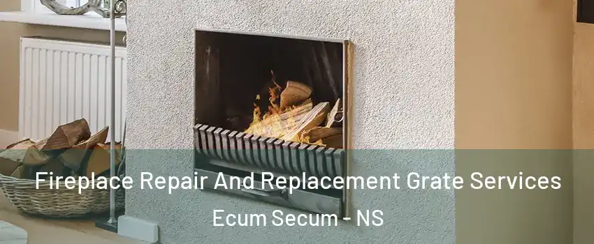  Fireplace Repair And Replacement Grate Services Ecum Secum - NS