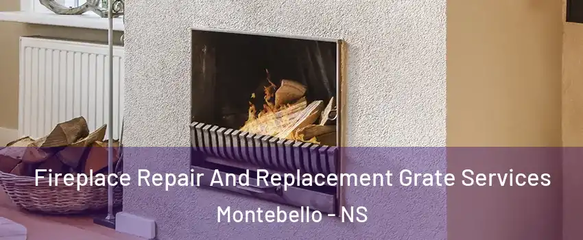  Fireplace Repair And Replacement Grate Services Montebello - NS