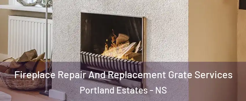  Fireplace Repair And Replacement Grate Services Portland Estates - NS