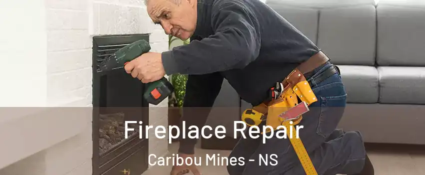  Fireplace Repair Caribou Mines - NS