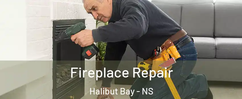  Fireplace Repair Halibut Bay - NS