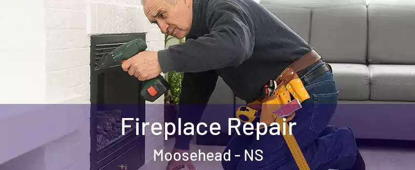  Fireplace Repair Moosehead - NS