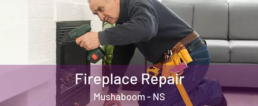  Fireplace Repair Mushaboom - NS