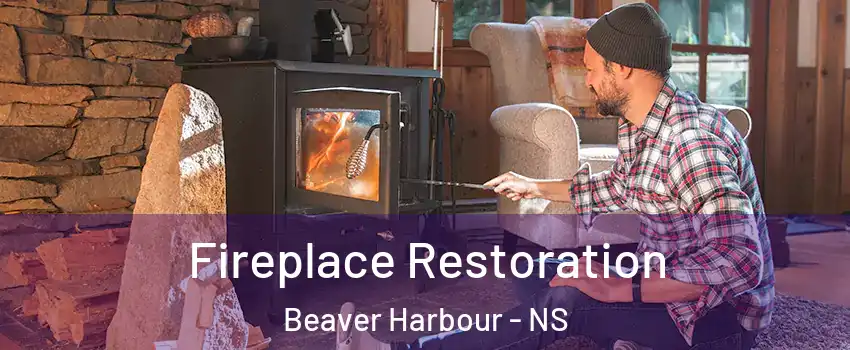  Fireplace Restoration Beaver Harbour - NS