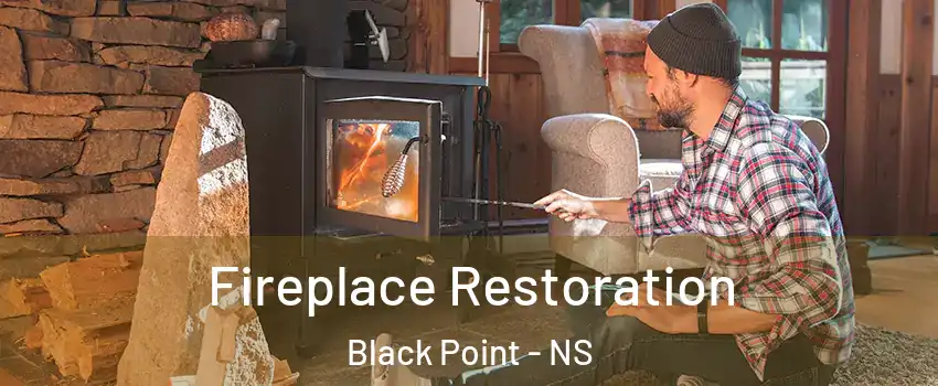 Fireplace Restoration Black Point - NS