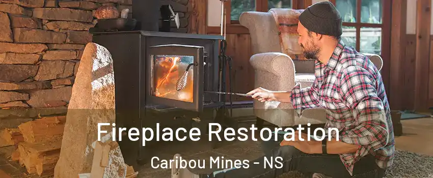  Fireplace Restoration Caribou Mines - NS