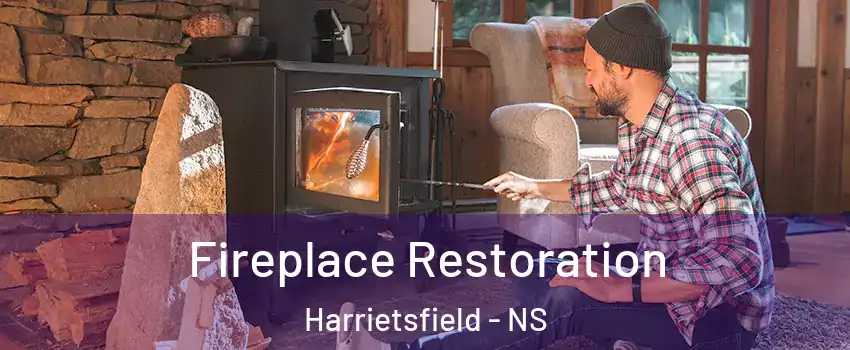  Fireplace Restoration Harrietsfield - NS
