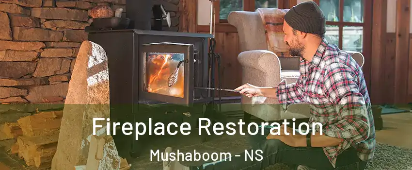  Fireplace Restoration Mushaboom - NS
