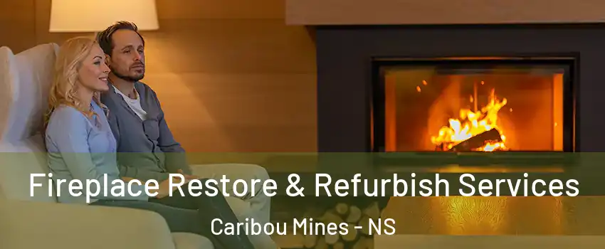  Fireplace Restore & Refurbish Services Caribou Mines - NS