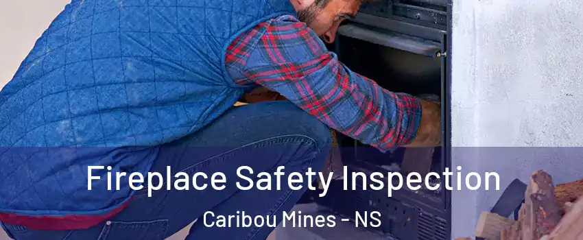  Fireplace Safety Inspection Caribou Mines - NS