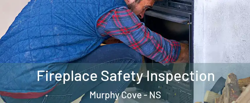  Fireplace Safety Inspection Murphy Cove - NS