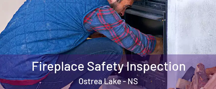  Fireplace Safety Inspection Ostrea Lake - NS