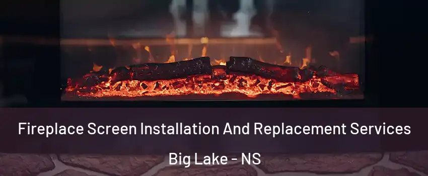  Fireplace Screen Installation And Replacement Services Big Lake - NS