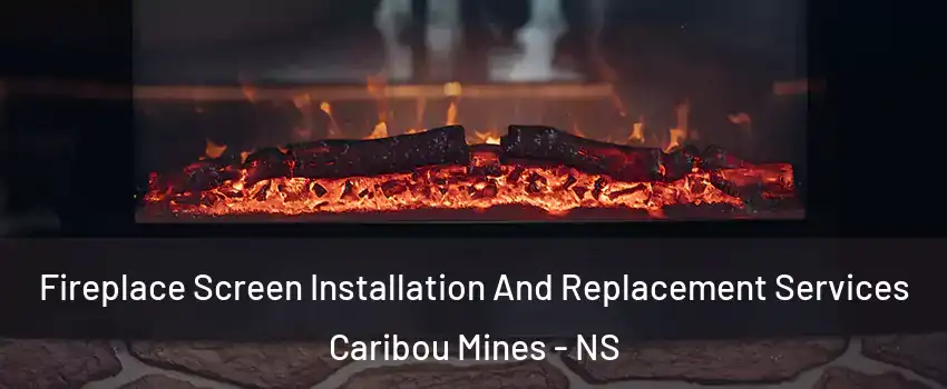  Fireplace Screen Installation And Replacement Services Caribou Mines - NS