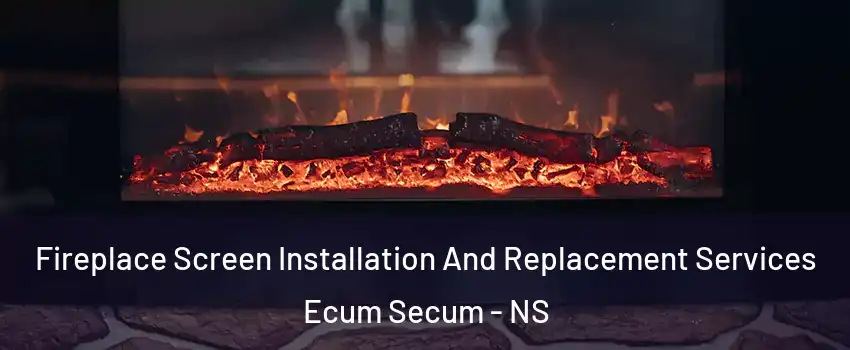  Fireplace Screen Installation And Replacement Services Ecum Secum - NS