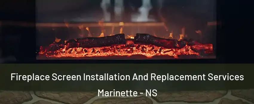  Fireplace Screen Installation And Replacement Services Marinette - NS