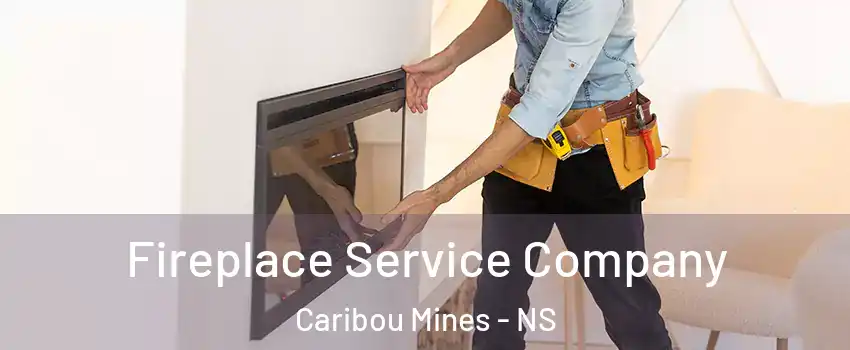 Fireplace Service Company Caribou Mines - NS