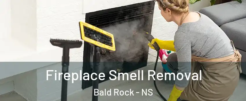  Fireplace Smell Removal Bald Rock - NS