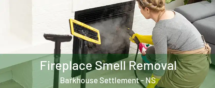  Fireplace Smell Removal Barkhouse Settlement - NS
