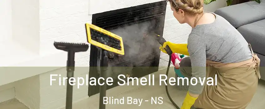  Fireplace Smell Removal Blind Bay - NS