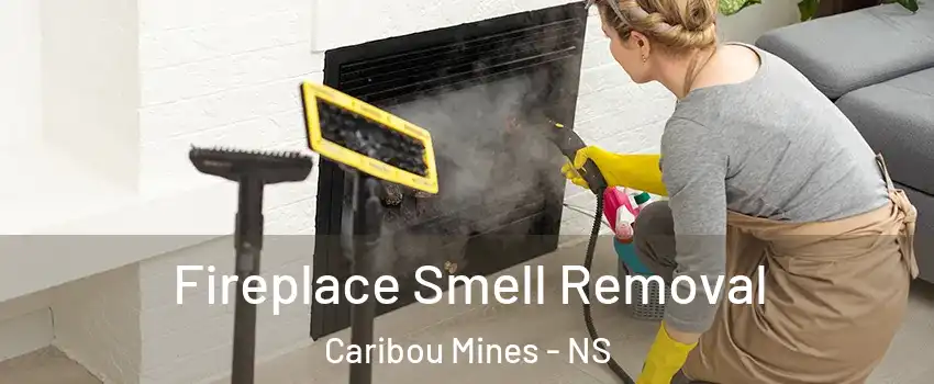  Fireplace Smell Removal Caribou Mines - NS