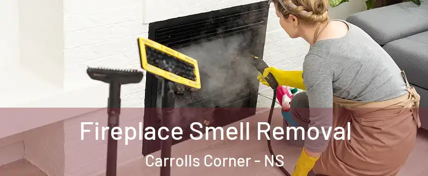  Fireplace Smell Removal Carrolls Corner - NS