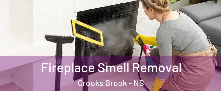  Fireplace Smell Removal Crooks Brook - NS