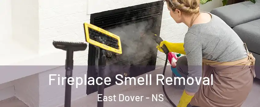  Fireplace Smell Removal East Dover - NS