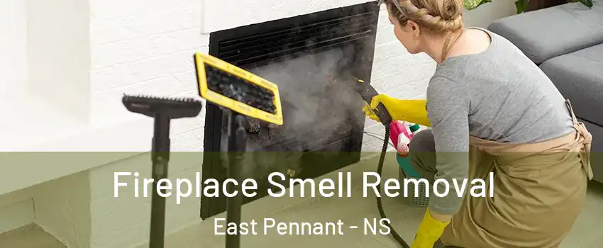 Fireplace Smell Removal East Pennant - NS