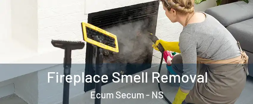  Fireplace Smell Removal Ecum Secum - NS