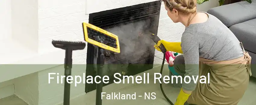  Fireplace Smell Removal Falkland - NS
