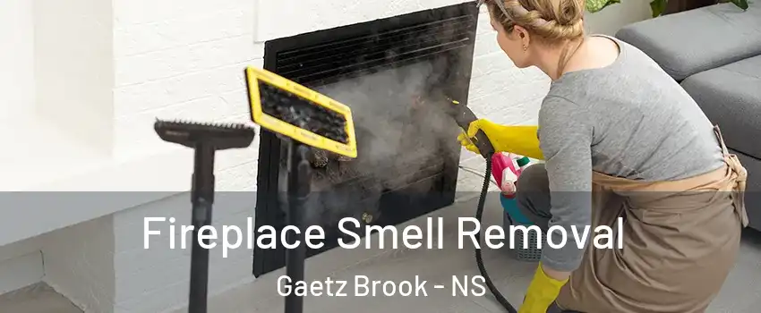  Fireplace Smell Removal Gaetz Brook - NS