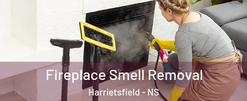  Fireplace Smell Removal Harrietsfield - NS