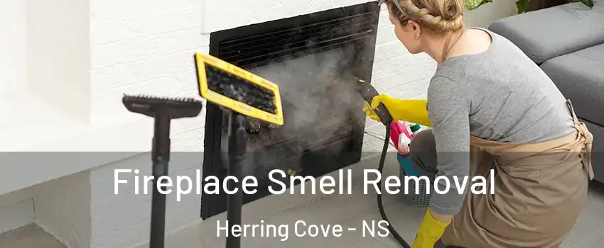  Fireplace Smell Removal Herring Cove - NS