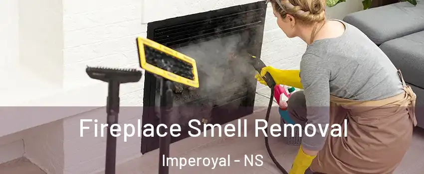  Fireplace Smell Removal Imperoyal - NS