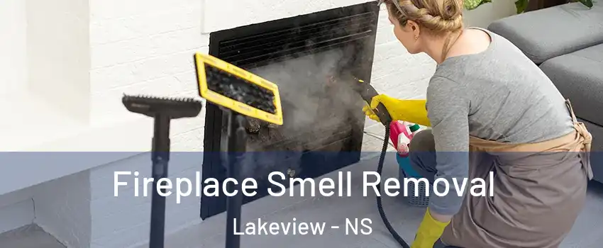  Fireplace Smell Removal Lakeview - NS