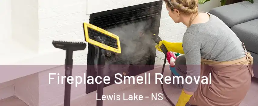  Fireplace Smell Removal Lewis Lake - NS