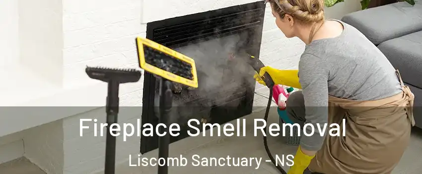  Fireplace Smell Removal Liscomb Sanctuary - NS