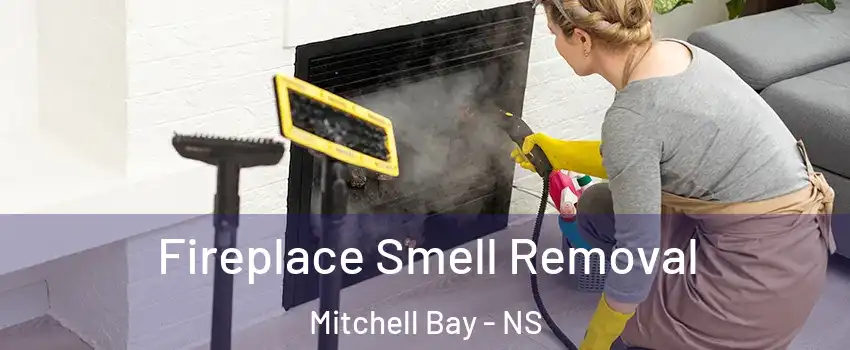  Fireplace Smell Removal Mitchell Bay - NS