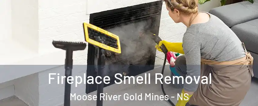  Fireplace Smell Removal Moose River Gold Mines - NS